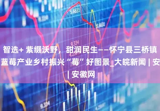 智选+ 紫缀沃野，甜润民生——怀宁县三桥镇勾勒蓝莓产业乡村振兴“莓”好图景_大皖新闻 | 安徽网