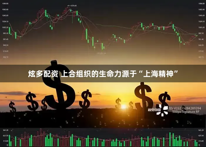 炫多配资 上合组织的生命力源于“上海精神”